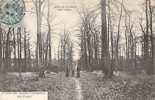 FORET DE SAINT GERMAIN 96076
