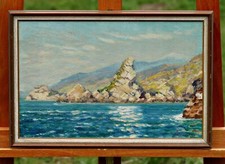 Paysage Côtier Avec Rochers