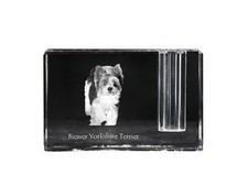 Biewer Terrier, Yorkshire