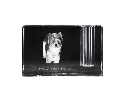 Biewer terrier yorkshire - biewer,