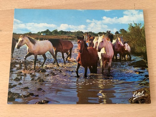 Carte postale manade de - postale, "manade