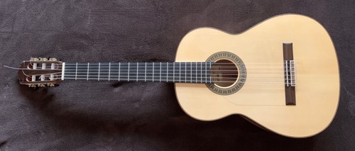 2005 vicente carrillo - vicente, blanca
