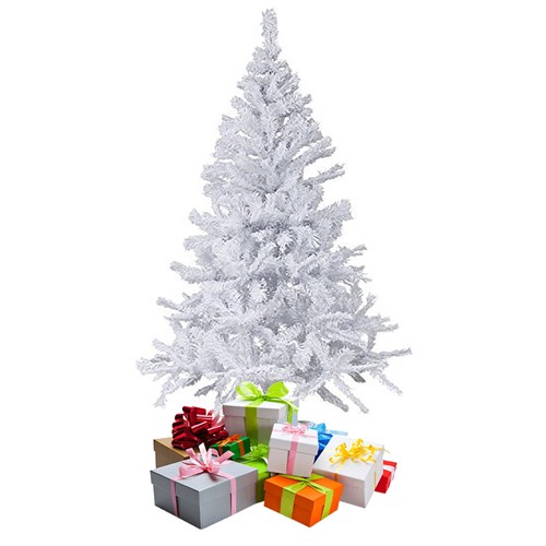 Sapin noël - sapin,