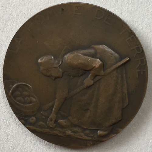 Médaille bronze la - bronze, pomme