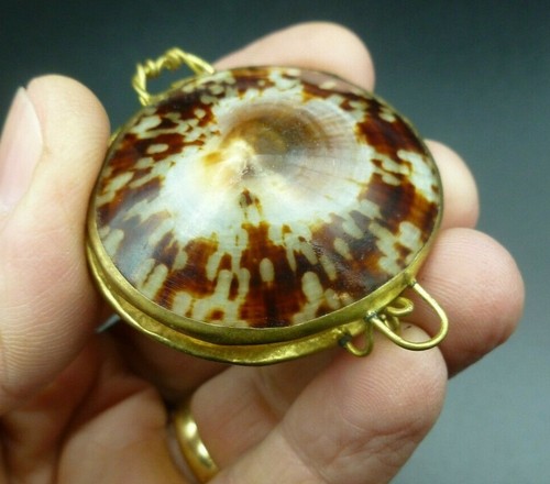 Pilulier coquillage monture - pilulier,