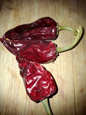 Graines de piment Gorria