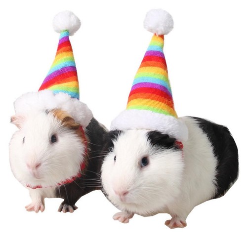 Chapeau noël ajustable - chapeau,