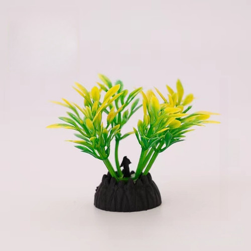 Plantes aquarium - plantes, d'aquarium