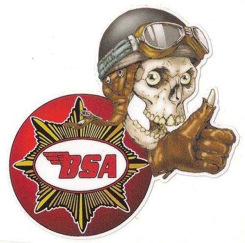 Bsa right skull - bsa,