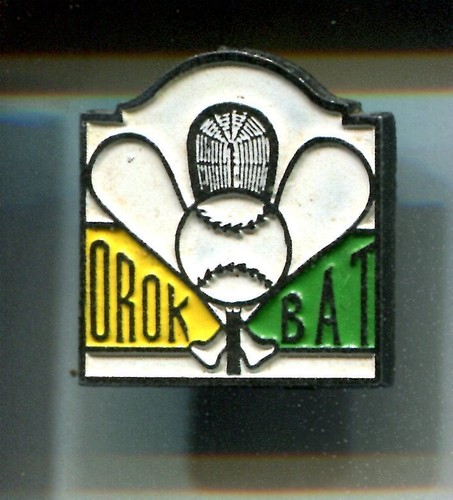 Rare pins pin sport - pin's,
