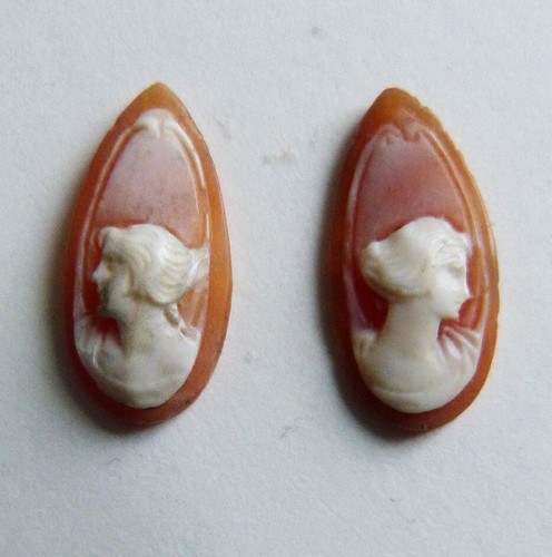 Paire camée sur coquille - camée,