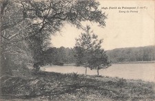 35 FORET PAIMPONT ETANG -