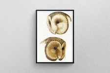 Masqué Barn Chouette Vintage