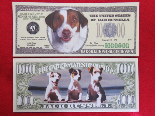 Factures jack russel - :,