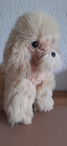 Peluche chien caniche - , beige