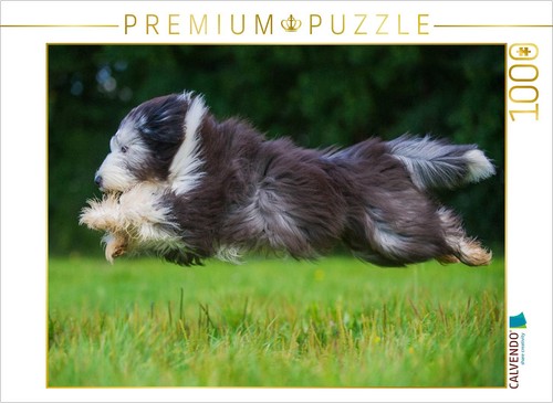 Calvendo puzzle bearded collie - calvendo,