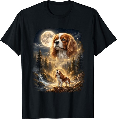 Cavalier king charles spaniel - king,