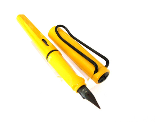 Magnifique stylo plume - stylo,