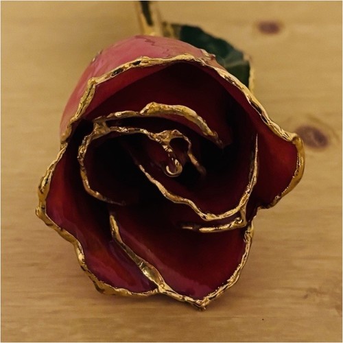 Rose éternelle rouge - , et