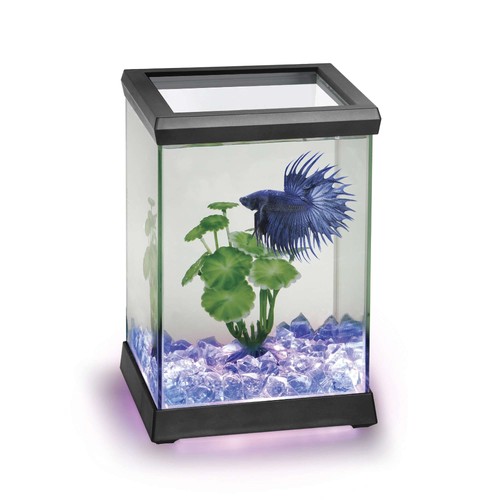At619averre kit betta space - kit,