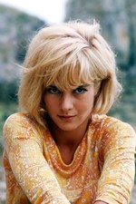 photo 8x12 - SYLVIE VARTAN #0101