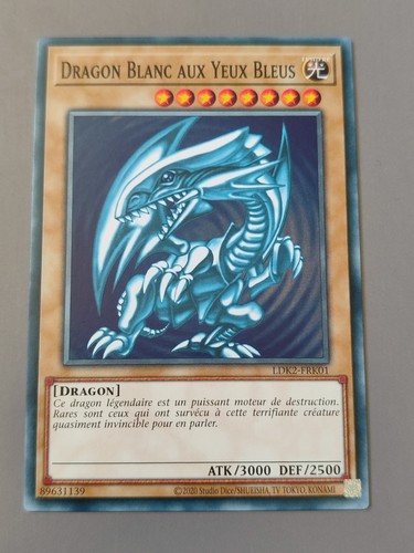 Dragon blanc aux - dragon,