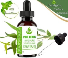 Huiles Essentielles 100% Pures Et Naturelles D'Eucalyptus Radiata IQ443