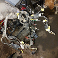 Faisceau Électrique Complet