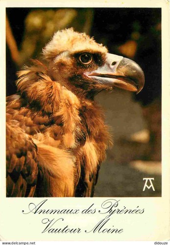 Carte postale animaux - postale,