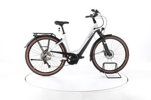Pegasus premio evo lite - 10,