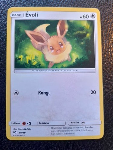 Carte pokémon évoli 40 - , 40/40