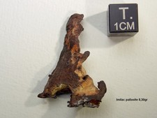 IMILAC, pallasite MPG