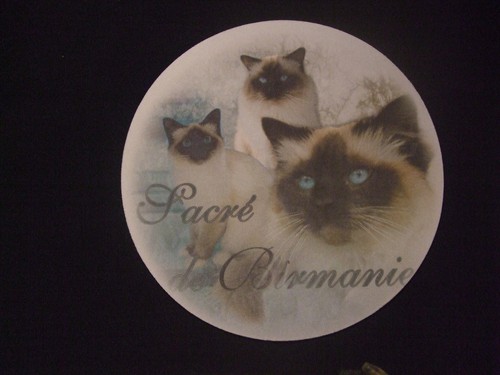 Tapis souris motif chat - -,