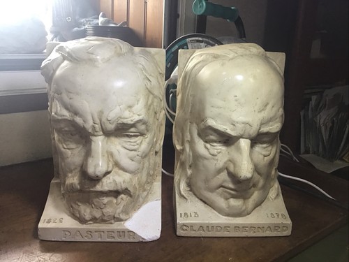 Paire serres livres plâtre - de,