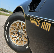 1976-78 Pontiac Trans Am 'Special Edition' Stripe Decal Kit Only