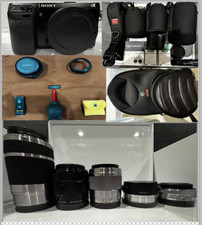 Sony NEX-7 24.3 MP Mirrorless