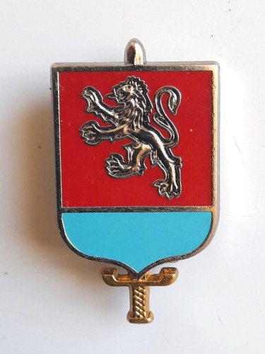 Insigne circonscription - insigne,
