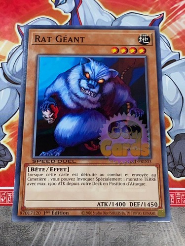 Carte rat geant - carte, oh