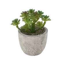 Plante Succulente Artificielle