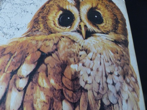Guide des oiseaux sélection - des,
