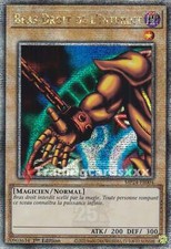 Yu-Gi-Oh! Bras Droit de