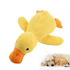 Anti-Stress Canard Chien -