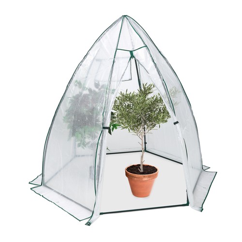 Serre hivernage plantes - serre, d'hivernage