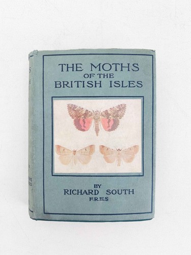 The moths british - of,
