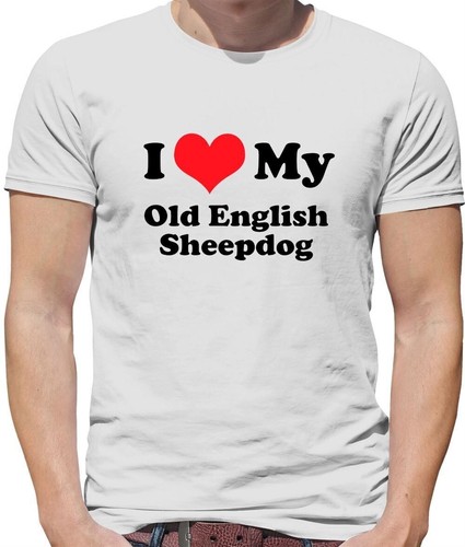 Love chien berger - i, my