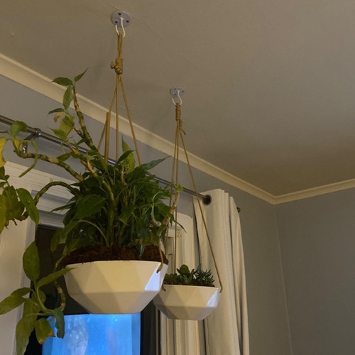 Crochets suspendus plantes - crochets,