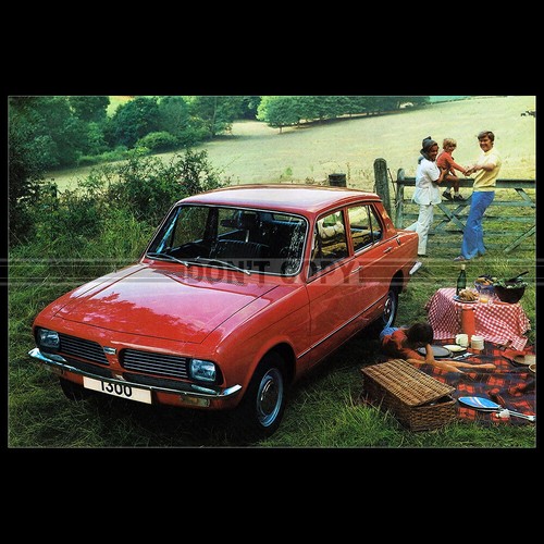 Photo 011510 triumph - photo,