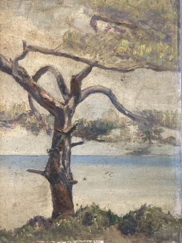 Belle peinture huile panneau