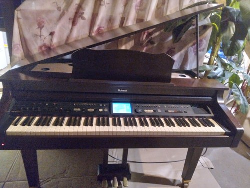 Roland 977 acoustic digital - acoustic,