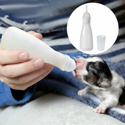 Biberon pour chiot chaton - pour, et